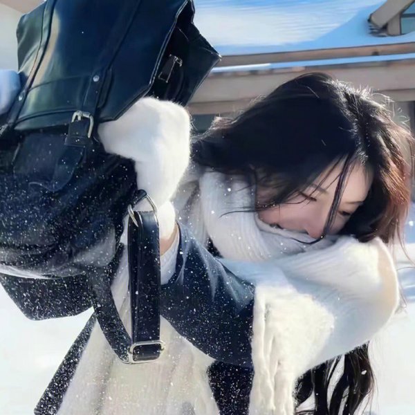 我略知她一二 海报