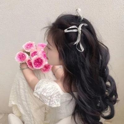 维也纳和鬼魂乐队 海报